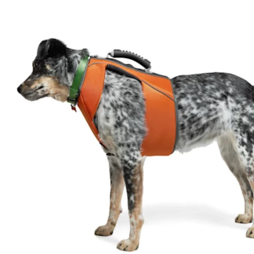 NWT dog life jacket floatation vest S
